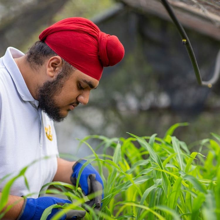 A young man in profile who is a student who is wearing gloves and working with plants on a table.